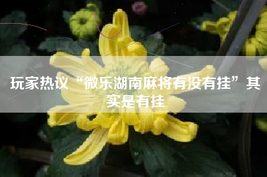 玩家热议“微乐湖南麻将有没有挂”其实是有挂