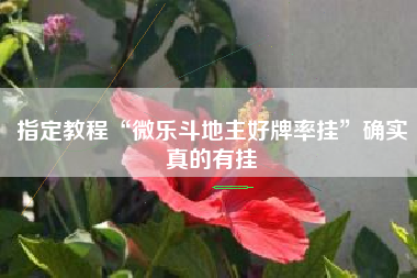 指定教程“微乐斗地主好牌率挂”确实真的有挂