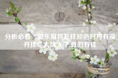 分析必看“微乐麻将怎样知道对方有没开挂	”太坑人了,真的有挂