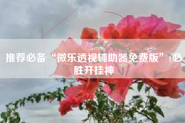 推荐必备“微乐透视辅助器免费版”(必胜开挂神