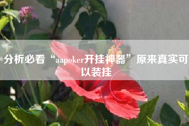 分析必看“aapoker开挂神器”原来真实可以装挂
