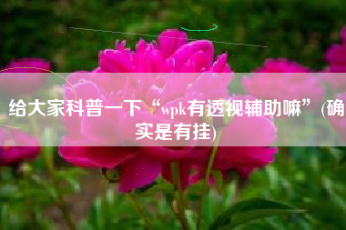 给大家科普一下“wpk有透视辅助嘛”(确实是有挂)