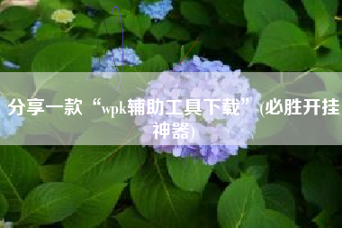 分享一款“wpk辅助工具下载”(必胜开挂神器)