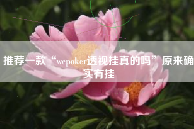 推荐一款“wepoker透视挂真的吗	”原来确实有挂