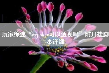 玩家综述“wepoker可以透视吗	”附开挂脚本详细