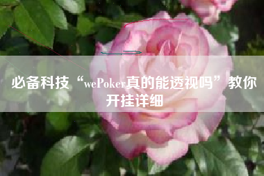 必备科技“wePoker真的能透视吗	”教你开挂详细