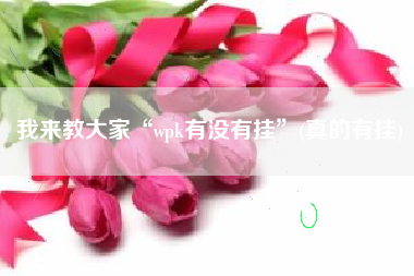 我来教大家“wpk有没有挂	”(真的有挂)