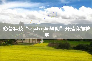 必备科技“wepokerplus辅助”开挂详细教学