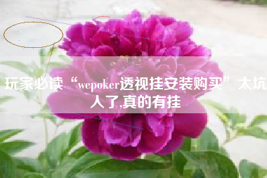 玩家必读“wepoker透视挂安装购买”太坑人了,真的有挂