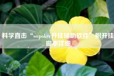 科学直击“wepoker开挂辅助软件”附开挂脚本详细