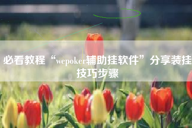 必看教程“wepoker辅助挂软件”分享装挂技巧步骤