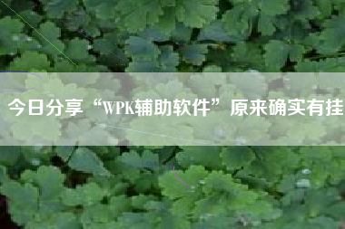 今日分享“WPK辅助软件”原来确实有挂
