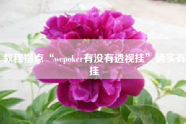 教程指点“wepoker有没有透视挂”确实有挂