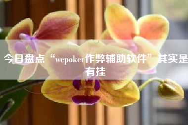 今日盘点“wepoker作弊辅助软件”其实是有挂