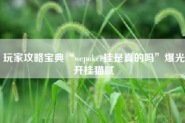 玩家攻略宝典“wepoker挂是真的吗”爆光开挂猫腻