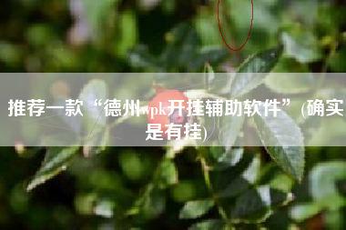 推荐一款“德州wpk开挂辅助软件	”(确实是有挂)