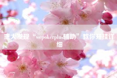 重大发现“wepokerplus辅助”教你开挂详细