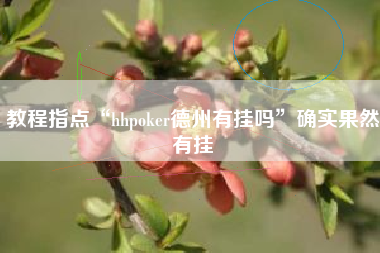 教程指点“hhpoker德州有挂吗	”确实果然有挂