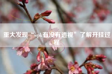 重大发现“wpk有没有透视”了解开挂过程