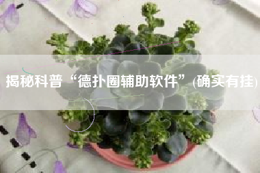 揭秘科普“德扑圈辅助软件”(确实有挂) 揭秘科普“德扑圈辅助软件”(确实有挂)