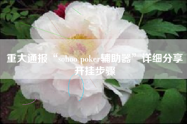 重大通报“sohoo poker辅助器”详细分享开挂步骤