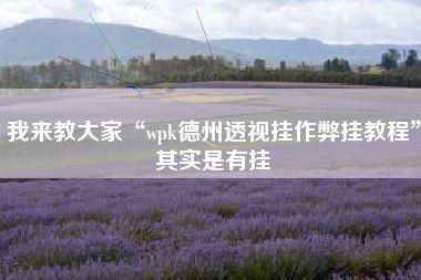 我来教大家“wpk德州透视挂作弊挂教程”其实是有挂