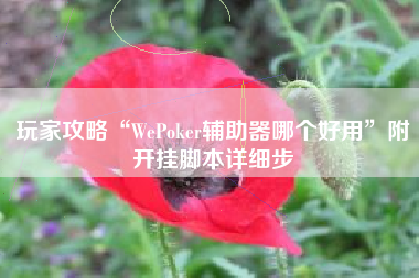 玩家攻略“WePoker辅助器哪个好用”附开挂脚本详细步