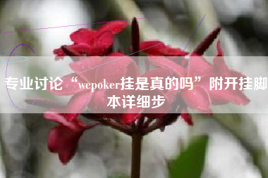 专业讨论“wepoker挂是真的吗	”附开挂脚本详细步