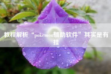 教程解析“pokemon辅助软件	”其实是有挂