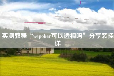 实测教程“wepoker可以透视吗	”分享装挂详
