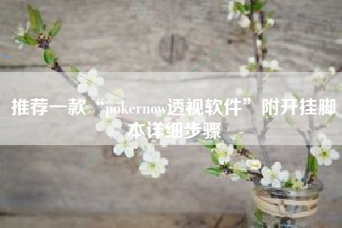 推荐一款“pokernow透视软件	”附开挂脚本详细步骤