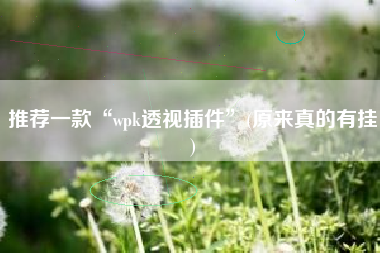 推荐一款“wpk透视插件”(原来真的有挂)