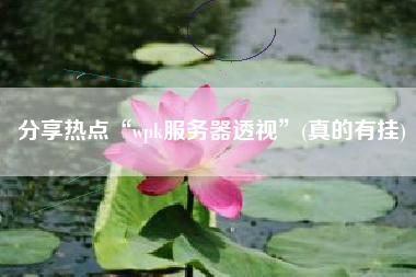 分享热点“wpk服务器透视	”(真的有挂)