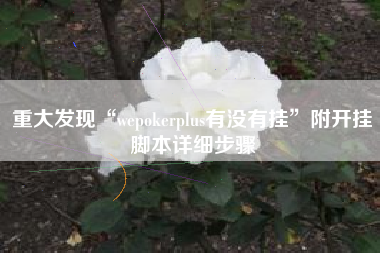 重大发现“wepokerplus有没有挂”附开挂脚本详细步骤