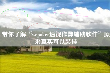 带你了解“wepoker透视作弊辅助软件”原来真实可以装挂