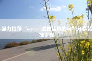 强力推荐“wepoker透视挂真的吗”分享装挂步骤