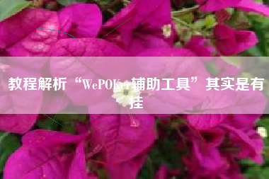 教程解析“WePOKer辅助工具”其实是有挂