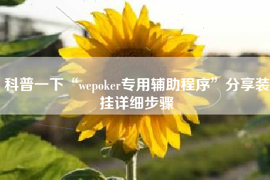 科普一下“wepoker专用辅助程序”分享装挂详细步骤