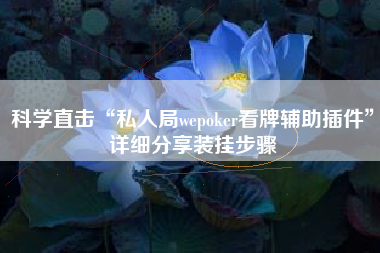 科学直击“私人局wepoker看牌辅助插件”详细分享装挂步骤