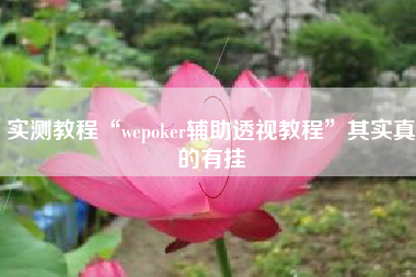 实测教程“wepoker辅助透视教程	”其实真的有挂