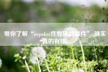 带你了解“wepoker作弊辅助软件	”(确实真的有挂)