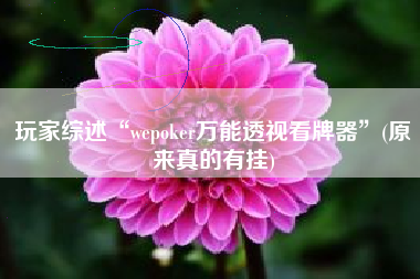 玩家综述“wepoker万能透视看牌器”(原来真的有挂)