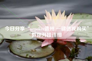 今日分享“wepoker德州 一键透视购买”教你开挂详细
