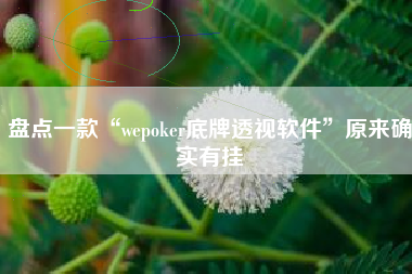 盘点一款“wepoker底牌透视软件”原来确实有挂