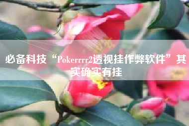 必备科技“Pokerrrr2透视挂作弊软件	”其实确实有挂