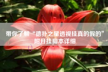 带你了解“德扑之星透视挂真的假的”附开挂脚本详细