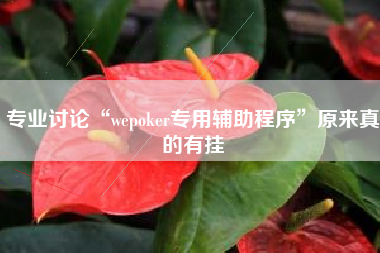 专业讨论“wepoker专用辅助程序”原来真的有挂