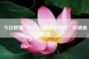 今日教程“WePoker辅助挂教程”的确是有挂