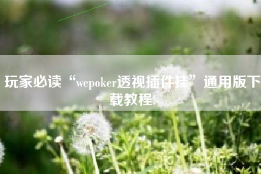 玩家必读“wepoker透视插件挂”通用版下载教程!