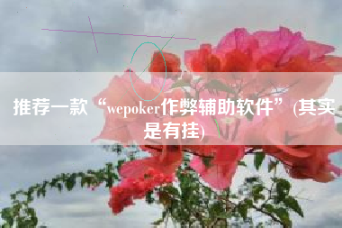 推荐一款“wepoker作弊辅助软件”(其实是有挂)